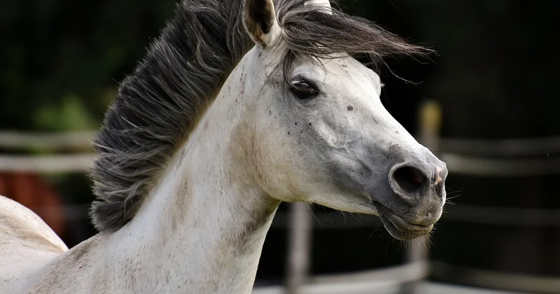 Activités exclues : quand le statut ne s'applique pas